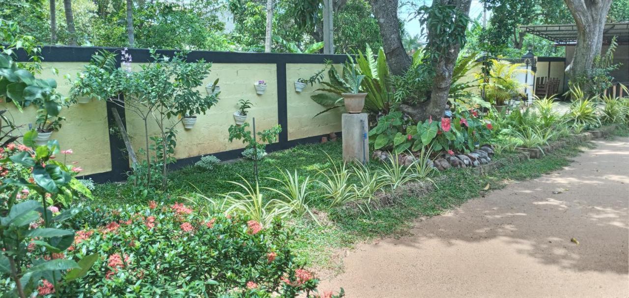 Water Front Home Stay And Resort Anuradhapura Ngoại thất bức ảnh
