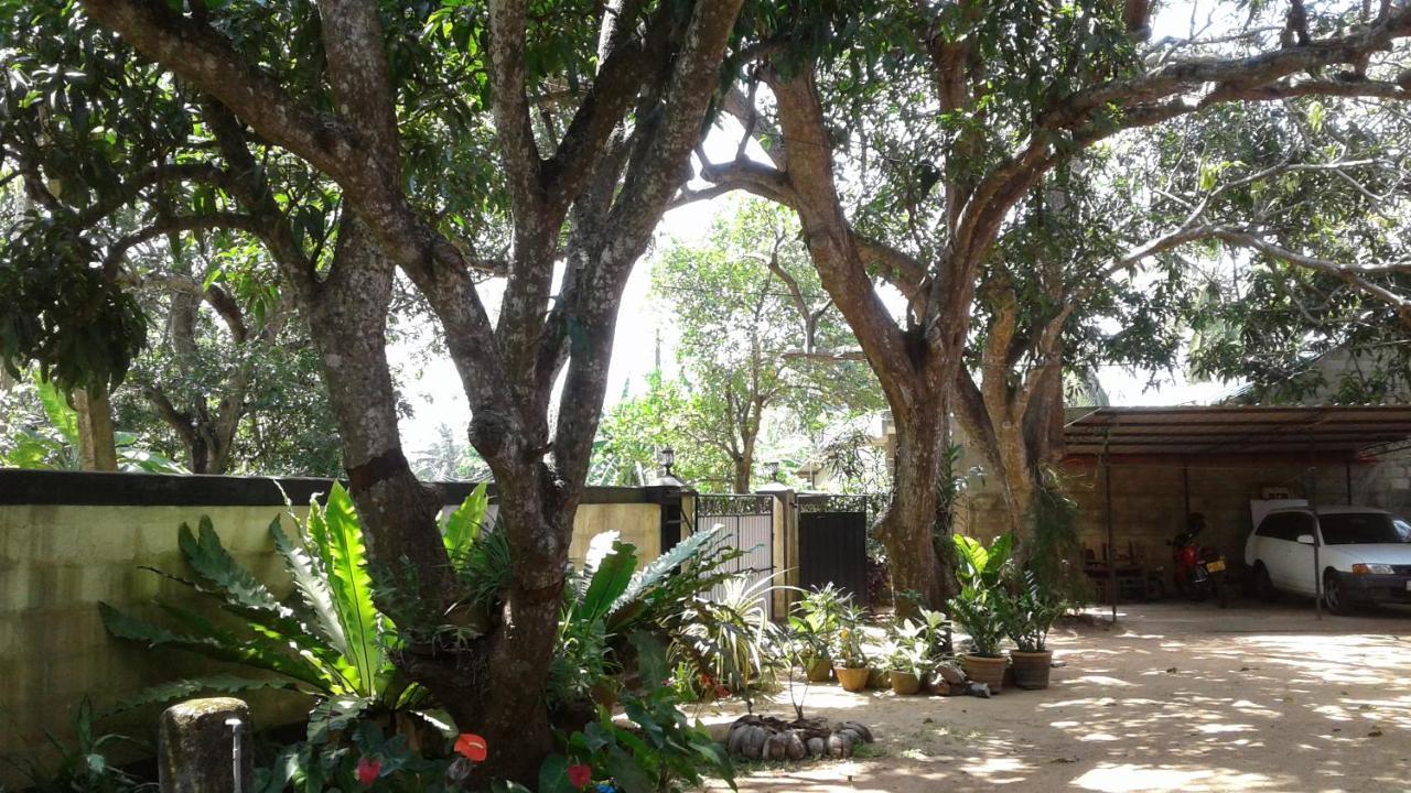 Water Front Home Stay And Resort Anuradhapura Ngoại thất bức ảnh